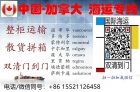 甜到心坎里！如何在国内采购奶茶食品原料海运加拿大多伦多开店清关技巧避坑篇 ...